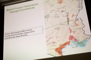 Match France - Amériques, quel vin saura vous séduire?