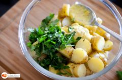 Salade_pommes_grenaille_salicorne-7