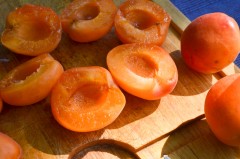 Abricots_rotis_miel_croustillant_romarin_gingembre (3 sur 9)