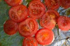 Aubergines_tomates_rocamadour_chèvre (4 sur 8)