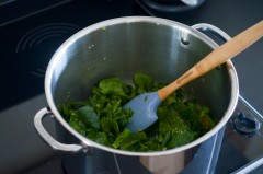 One_Pot_Pasta_epinard_mascarpone_parmesan_pignons (2 sur 10)