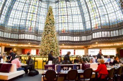 Printemps_Haussmann_Brasserie_Noël2015 (1 sur 9)