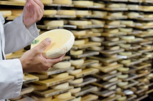 Reblochon fermier versus laitier - Direction la Savoie pour en savoir plus !