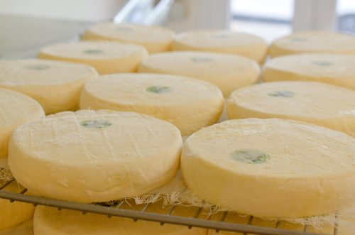 Reblochon fermier versus laitier - Direction la Savoie pour en savoir plus !