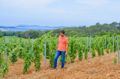 Escapade aux pays des vins du soleil - Côtes de Provence & découverte de Porquerolles