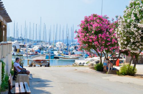 Escapade aux pays des vins du soleil - Côtes de Provence & découverte de Porquerolles