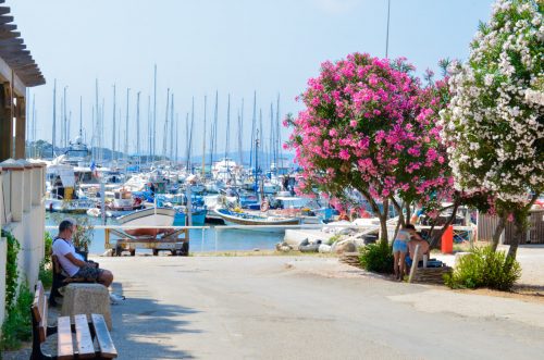 Escapade aux pays des vins du soleil - Côtes de Provence & découverte de Porquerolles