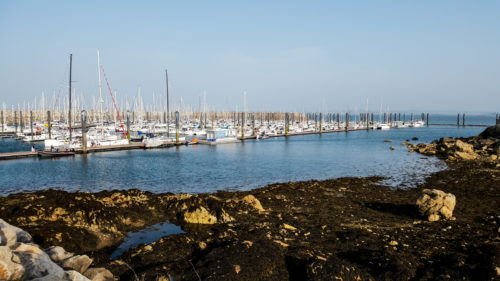 Roscoff Bretagne tout sur la tomate