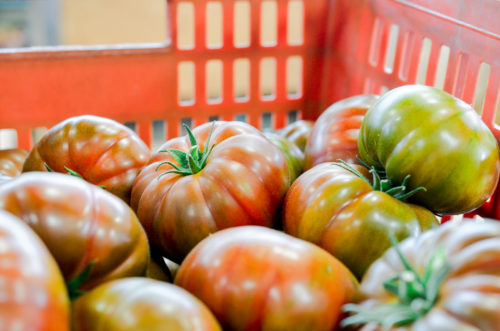 Tomates Saveur d'Antan