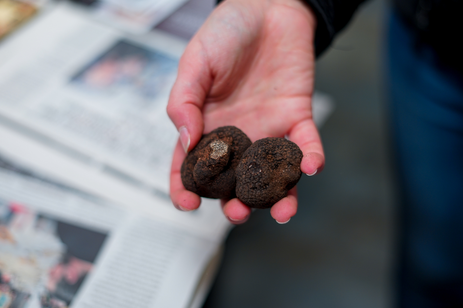 Fête de la truffe à Sarlat: 12 recettes à la truffe