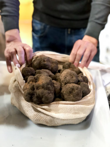 Osona Truffes Vic Trufforum 18