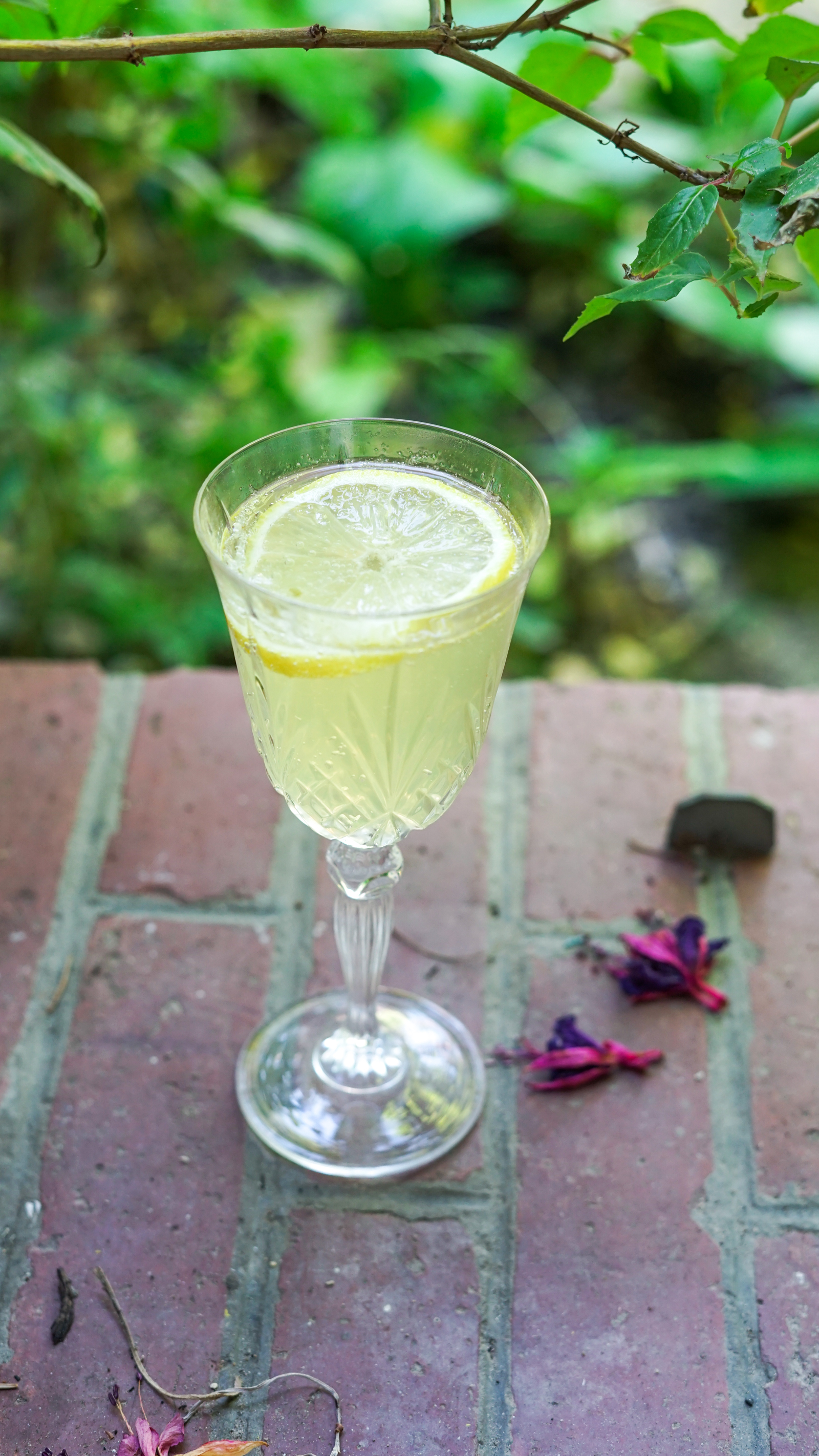 Recette Limoncello Spritz 6