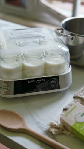 Recette Sauce Yaourt Yogourmet Carroussel 20